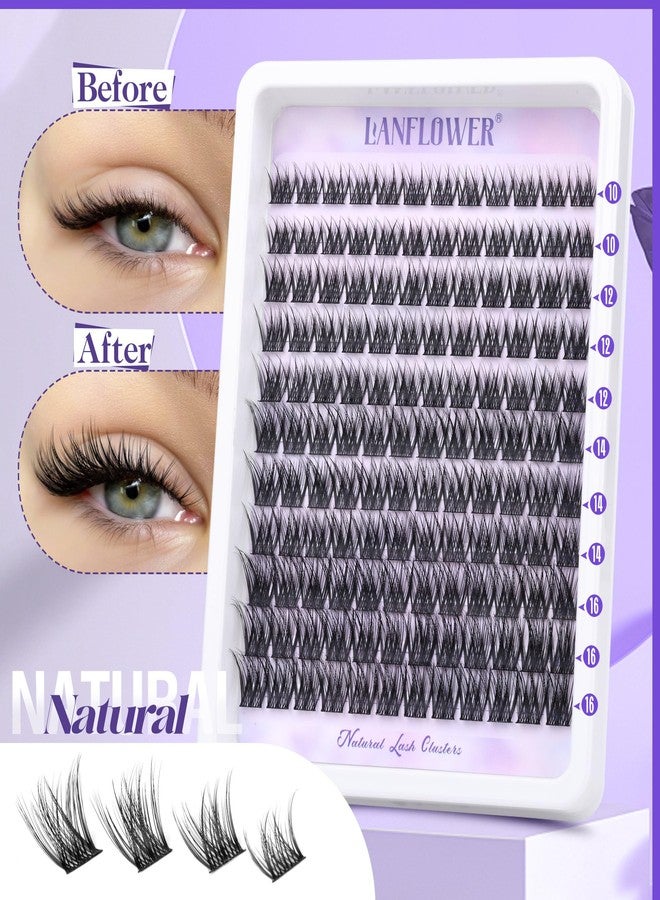 LANFLOWER Lash Extension Kit Natural Lash Clusters Kit Waterproof Eyelash Extension Kit Wispy Lash Clusters C Curved Cluster Eyelash Extensions Kit 10-16 mm Individual Lashes by Lanflower - Image 2